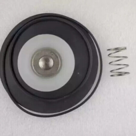 New For GOYEN Pulse Valve K2530 Diaphragm Repair Kit