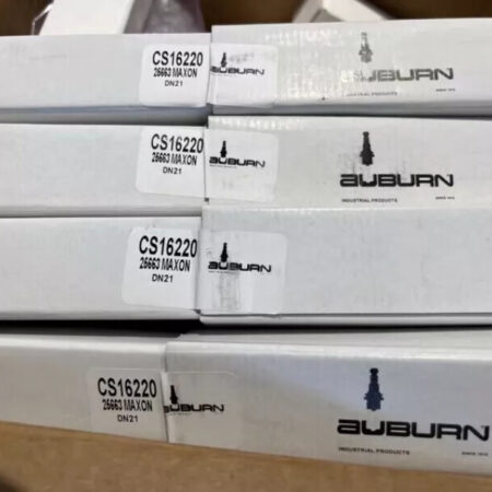 New in Box For MAXON CS16220 25663 DN21