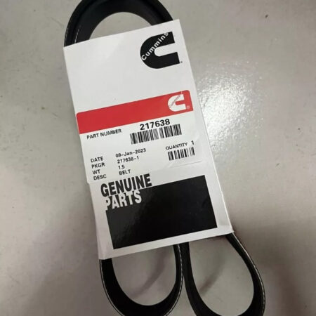1pc New 217638 Replaces For Cummins Diesel Engine NT855 Water Pump Belt